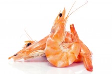 Import-Food