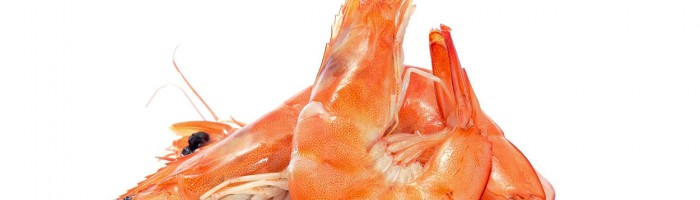 Import-Food